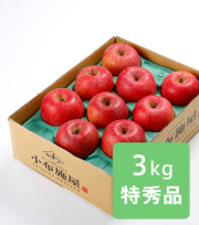 りんご サンふじ 特秀品 約3kg(送料無料)