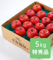 りんご サンふじ 特秀品 約5kg(送料無料)