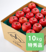 りんご サンふじ 特秀品 約10kg(送料無料)