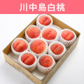 桃 川中島白桃 約3kg（送料無料）【申込期限：8月25日まで】