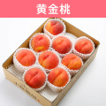 桃 黄金桃 約3kg（送料無料）【申込期限：8月22日まで】