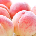 旬の白桃 約2kg（送料無料）選べる発送時期
