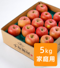りんご サンふじ 風のいたずら家庭用 約5kg(送料無料)