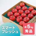 サンふじ　蔵出し　秀品　5kg