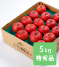 りんご サンふじ 特秀品 約5kg(送料無料)