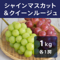 シャインマスカット＆クイーンルージュ 約1kg (各1房)（送料無料）【申込期限：10月24日まで】