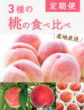 3種の桃の食べ比べ定期便(約1.8kg×3回)(送料無料)【申込期限：8月6日まで】