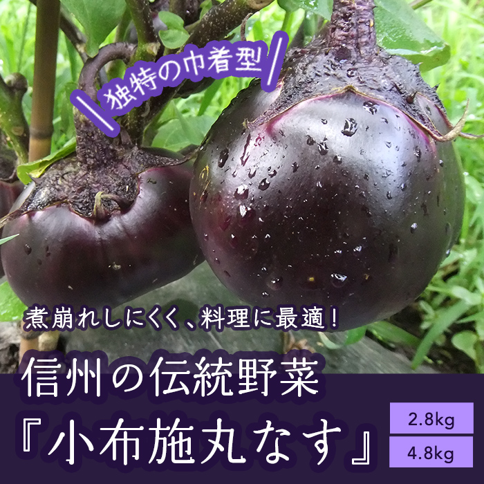 小布施 丸なす