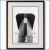 1952年 客船ユナイテッドステーツ・ファンネルの写真 3269LL黒