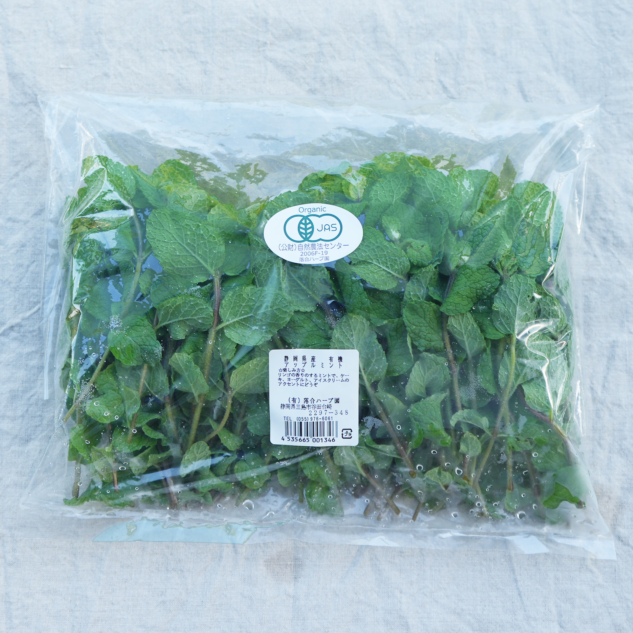 乾燥スペアミント　20g 農薬不使用　ハーブ　枝葉付き　茨城産　天日干し　アロマ Mint&Lemon (ミント&レモン) – 生活の木 オンラインストア
