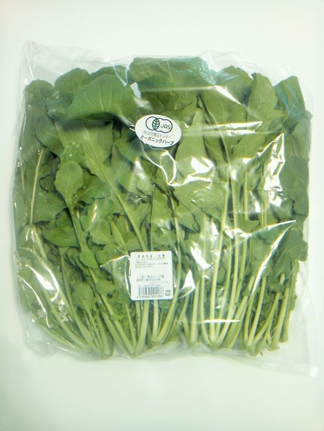 ルッコラ300ｇ