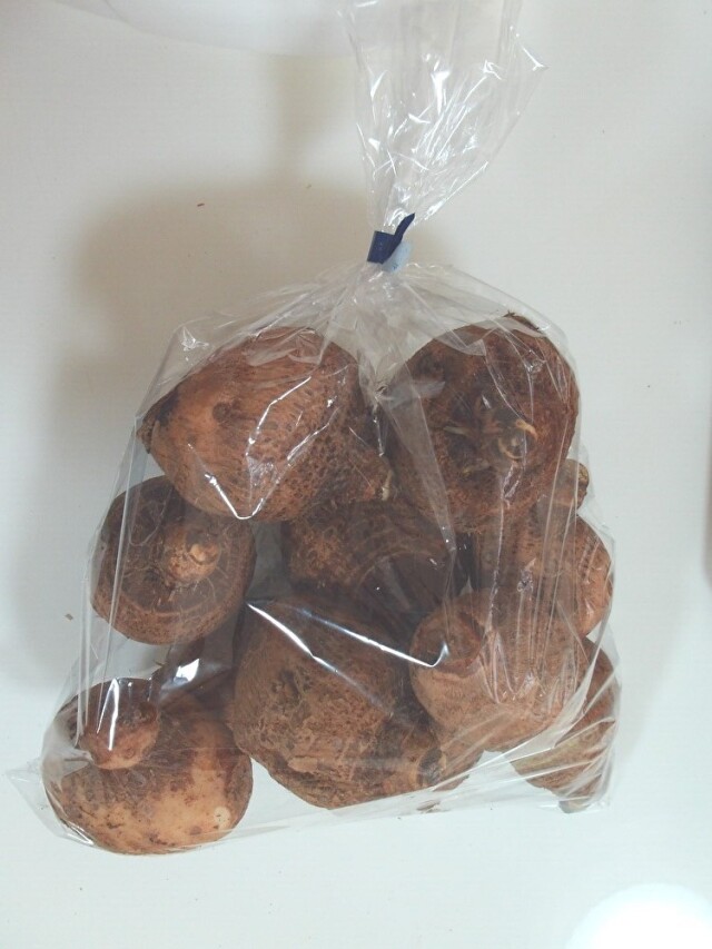 有機栽培 ハーブ園のさといも ＜１kg＞【静岡産オーガニック】　
