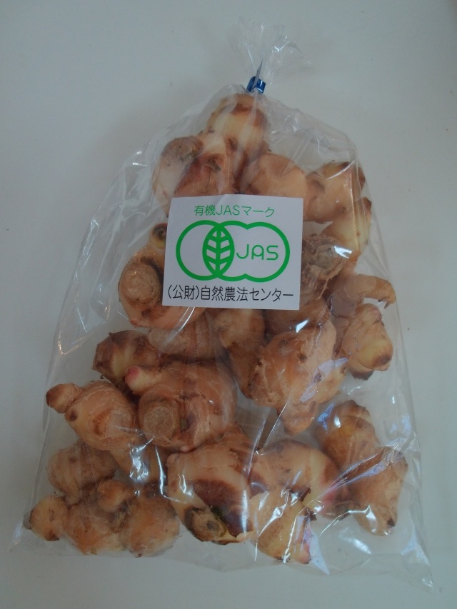 有機栽培　ハーブ園の大しょうが〈500g〉　【静岡産オーガニック】