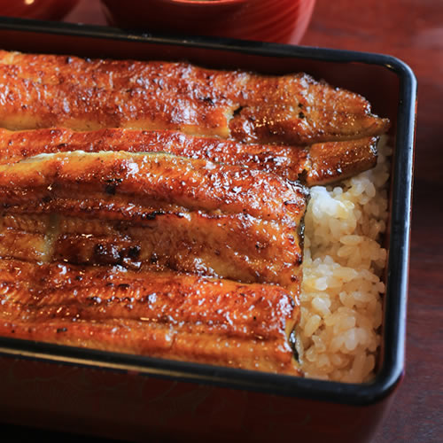 【送料無料 産地直送】特大・鹿児島県産うなぎセット(PFU-003)