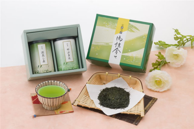 お中元　お茶