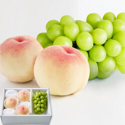 76079