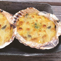 送料無料 産地直送 青森県陸奥湾 酒蒸し帆立グラタン 16個入り