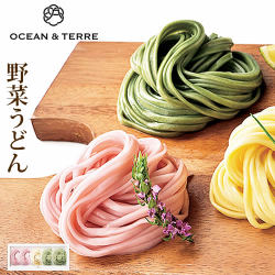 野菜うどんセットE