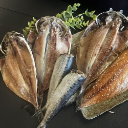 海 kai 伊豆厳選干物詰め合わせ  ( himono-kai )