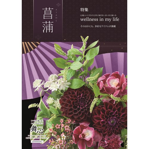 送料無料】 カタログギフト舞心 菖蒲／あやめコース(ayame)