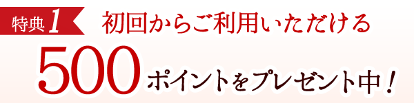 500ポイントプレゼント！