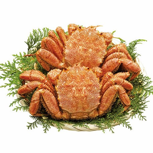 北海道産毛がに　320g×2尾　引換券 北海道産毛がに 320g×2尾 引換券 かに通販お取り寄せ｜【北海道