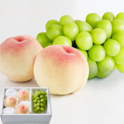 76079