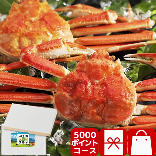 pe-5000