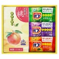 【送料無料】炭酸力の薬用入浴剤セット (2542-01 )