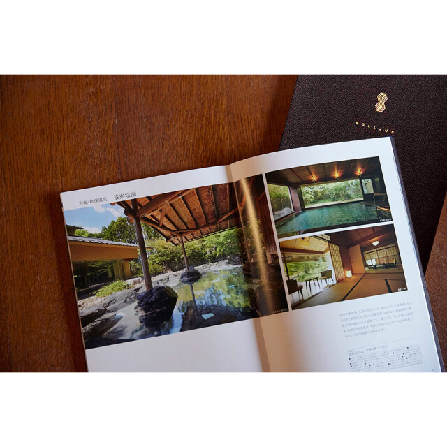 STAGE UP ステージアップ カタログギフト ソーリュース プレゼントブック STAGE UP(ステージアップ) カタログギフト ＜ソーリュース＞を