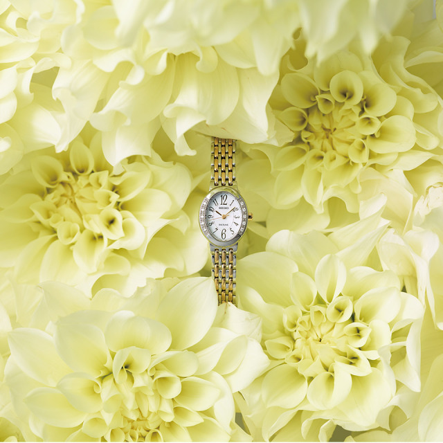 香典返し カタログギフト ステージアップ(stage up) ソーリュース