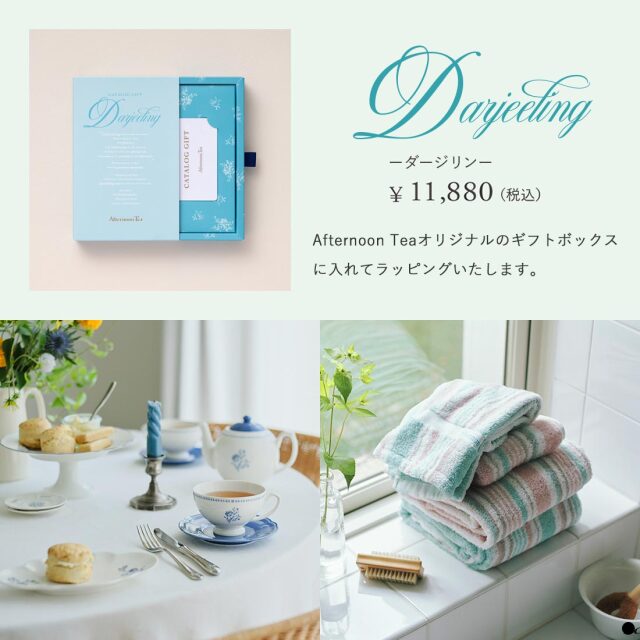 アフターヌーンティー カタログギフト ダージリン Afternoon Tea Afternoon Tea CATALOG GIFT Darjeeling（アフタヌーンティー カタログ