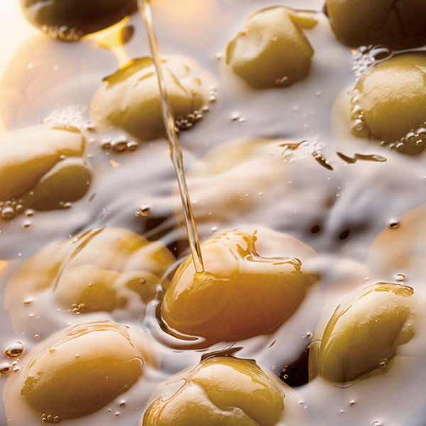 カタログギフト カードタイプ 銘酒 e-order choice GS02-C掲載商品イメージ画像