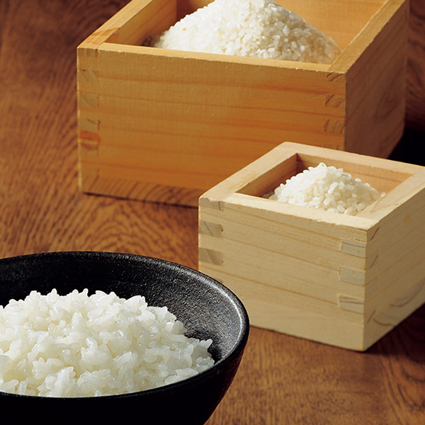 カタログギフト サユウ(SAYU) ときあさぎ 掲載商品イメージ画像