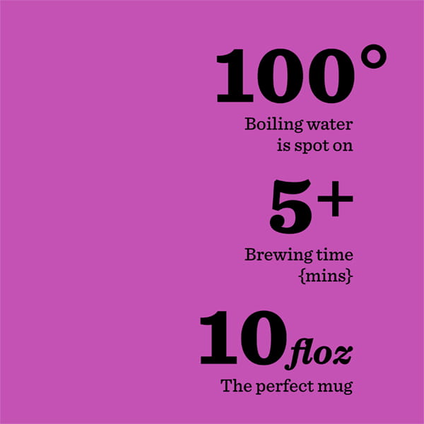Brew Tea Co. / アップル＆ブラックベリー TEA BAGS イメージ画像