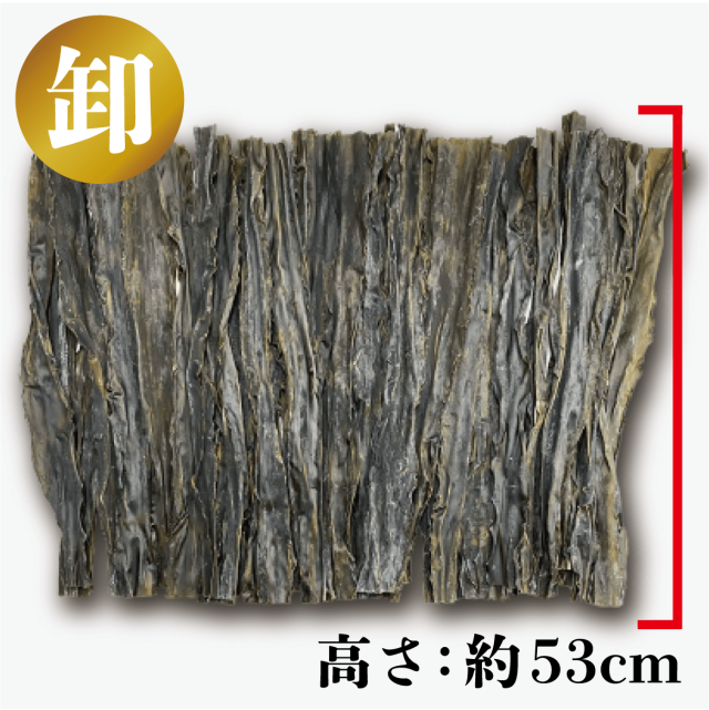 【北海道産】日高昆布　天然一等　1,000g