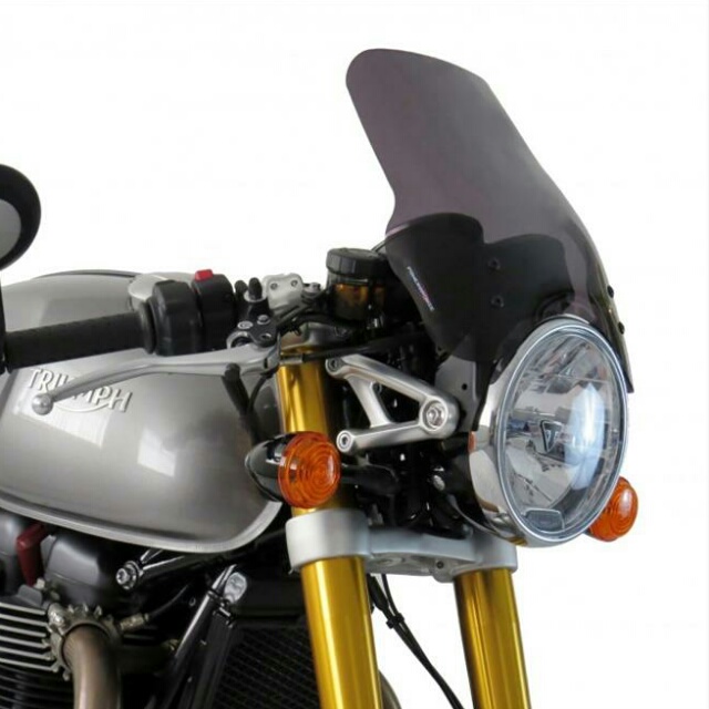 TRIUMPH>> STREET CUP（16-19） ネイキッド・スクリーン【ロング】 PowerBronze