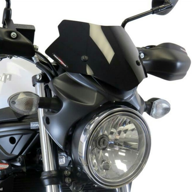 SUZUKI >> SV650 ABS（16-） 純正カウル専用ネイキッド・スクリーン PowerBronze