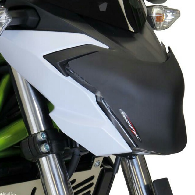 KAWASAKI >>Z650(17-19) ヘッドライトレンズシールド Powerbronze