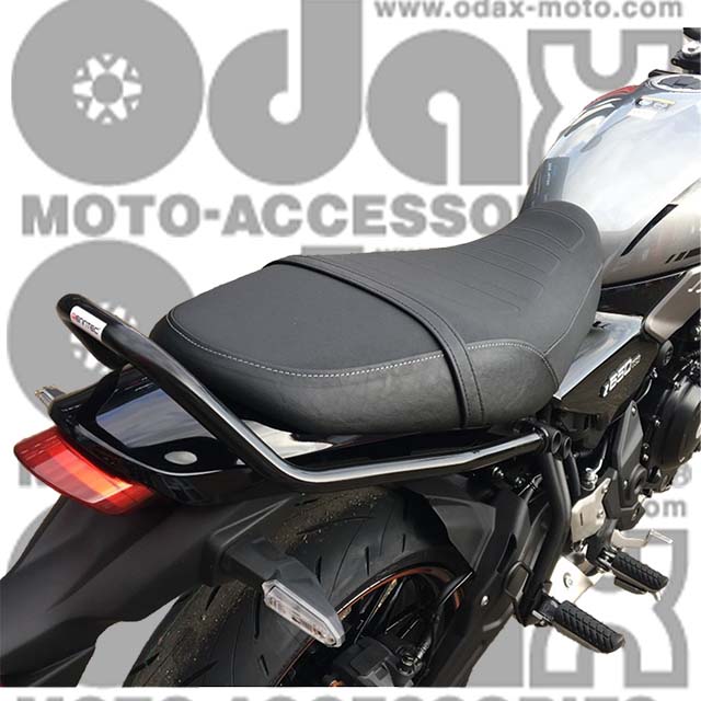 KAWASAKI >> Z650RS(22-) グラブレール RENNTEC