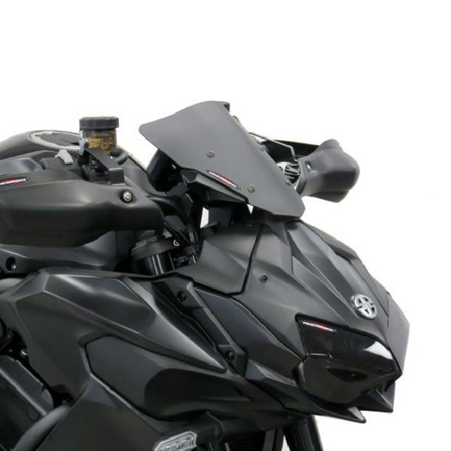 KAWASAKI >> Z H2 （20-）ネイキッド・スクリーン【ショート】 PowerBronze