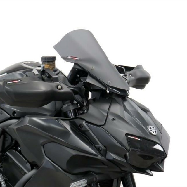 KAWASAKI >> Z H2 （20-）ネイキッド・スクリーン【ミドル】 PowerBronze