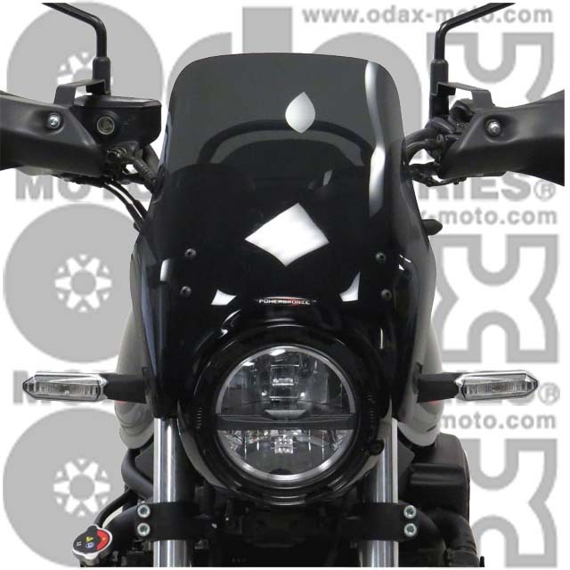 KAWASAKI >> Z650RS(22-) ネイキッド・スクリーン【ロング