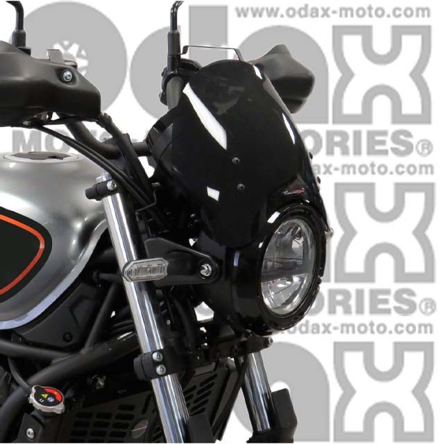 Kawasaki カワサキ ラジエタースクリーン Z650RS KAWASAKI