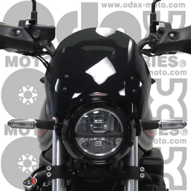 KAWASAKI >> Z650RS(22-) ネイキッド・スクリーン【ショート