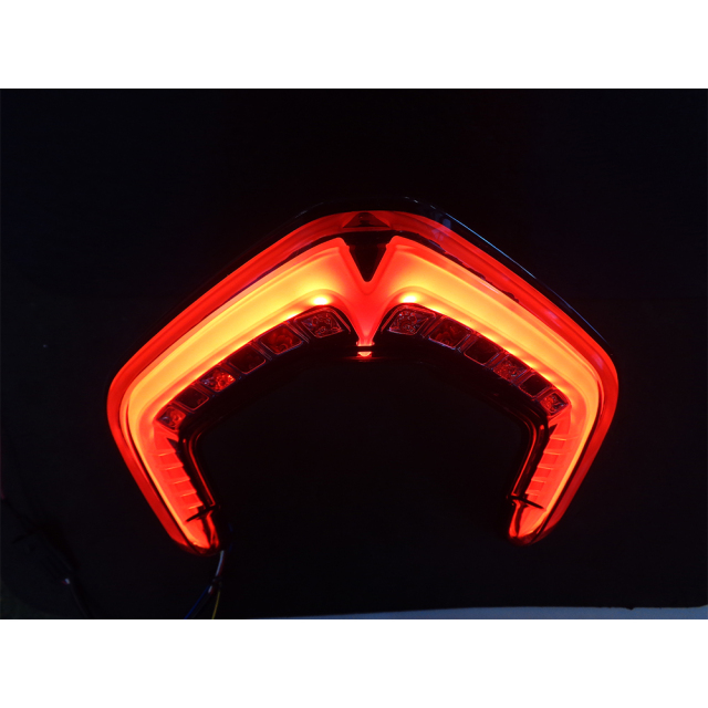 DUCATI Panigale V4/V2,Street Fighter V4/V2 インテグレート・テール