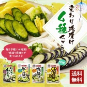 【お試しセット】　変わり浅漬け4種セット（4種類10袋セット）