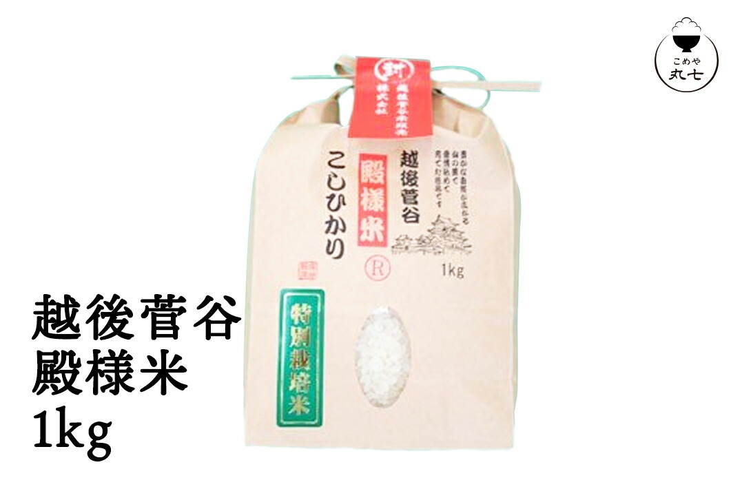 さとやん 済 さとやん様 ご専用 【公式通販】