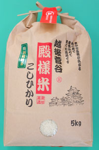 ＜令和6年産・2024年産→終売＞ 新潟　新発田産　越後菅谷殿様米5kg  | こめや丸七