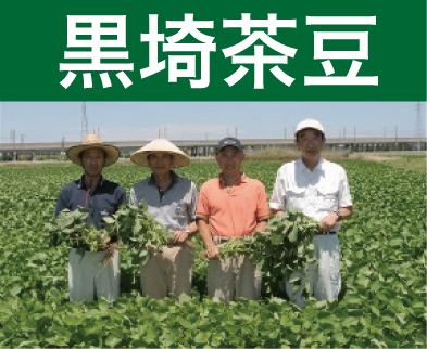 <発送期間：7/28～8/6頃>金巻　鈴木さんグループの黒埼茶豆1kg、1.5kg、2kg | こめや丸七　◆販売期間：2025/06/09～2025/07/16